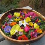 Forest Garden feast of Mandala Salad