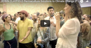 Permaculture-Solutions-to-Climate-Change-Cuba-2015-Clayfield