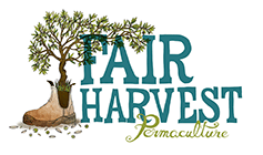 Fairharvest's logo