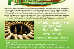 Social Permaculture Course at Crystal Waters EcoVillage